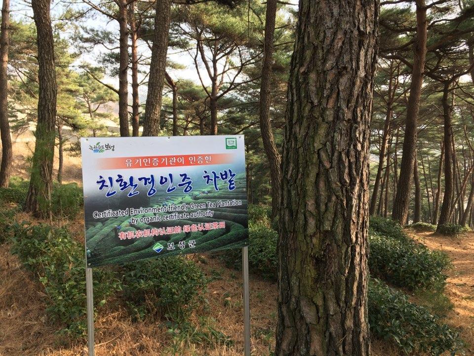 Отель Korean Traditional House - Chungnokdang Boseong Экстерьер фото