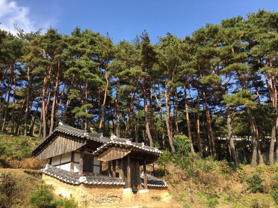 Отель Korean Traditional House - Chungnokdang Boseong Экстерьер фото