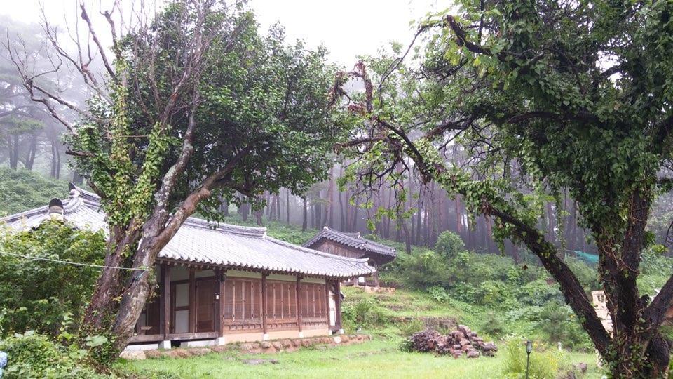 Отель Korean Traditional House - Chungnokdang Boseong Экстерьер фото